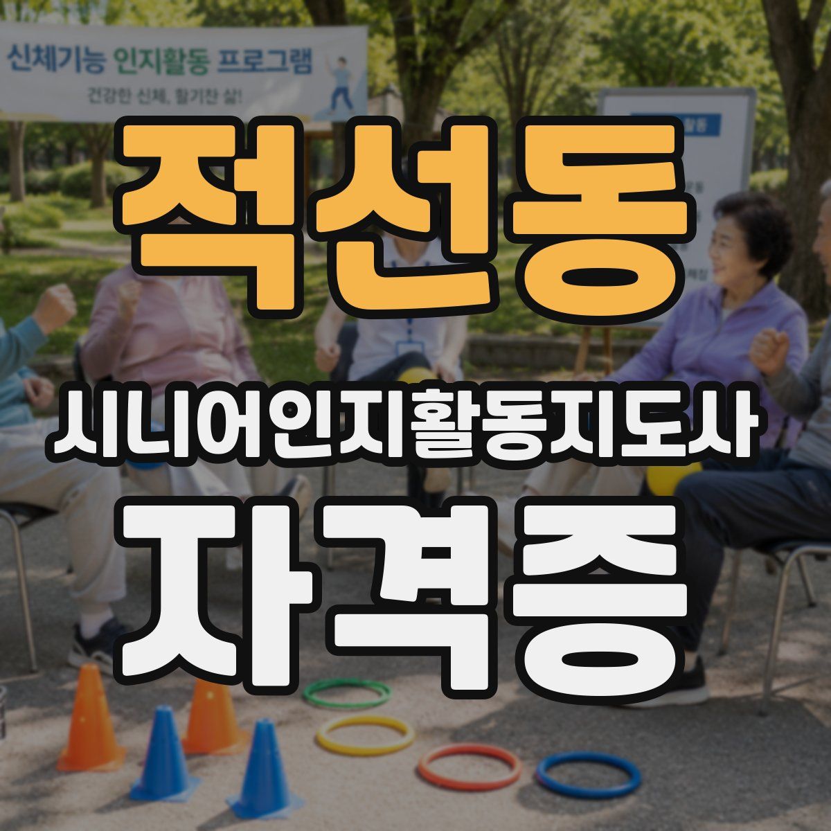 적선동 시니어인지활동지도사 자격증