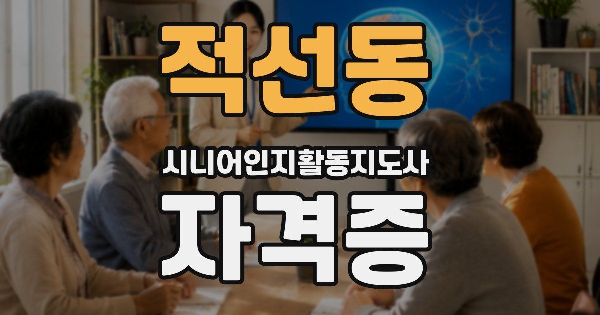 적선동 시니어인지활동지도사 자격증