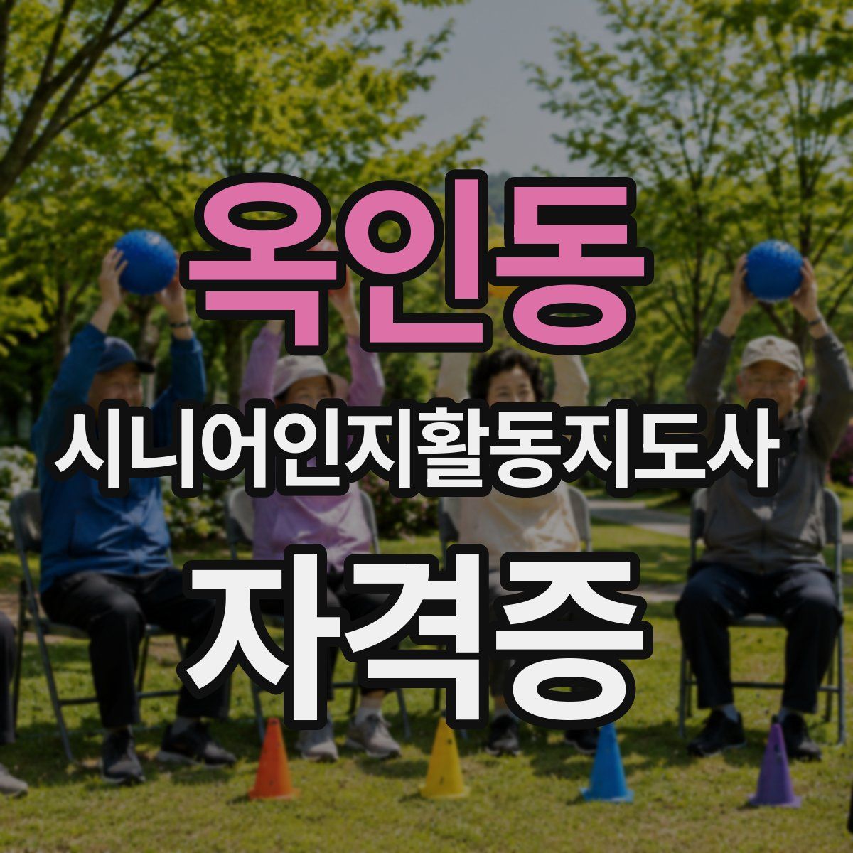 옥인동 시니어인지활동지도사 자격증