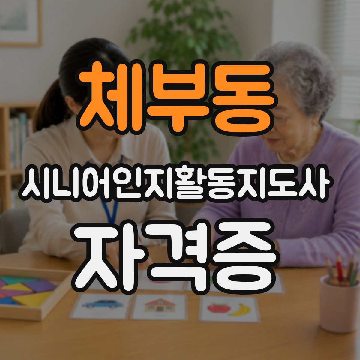 체부동 시니어인지활동지도사 자격증