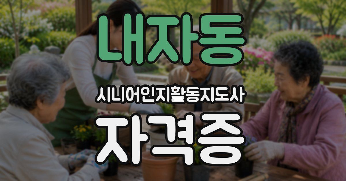 내자동 시니어인지활동지도사 자격증
