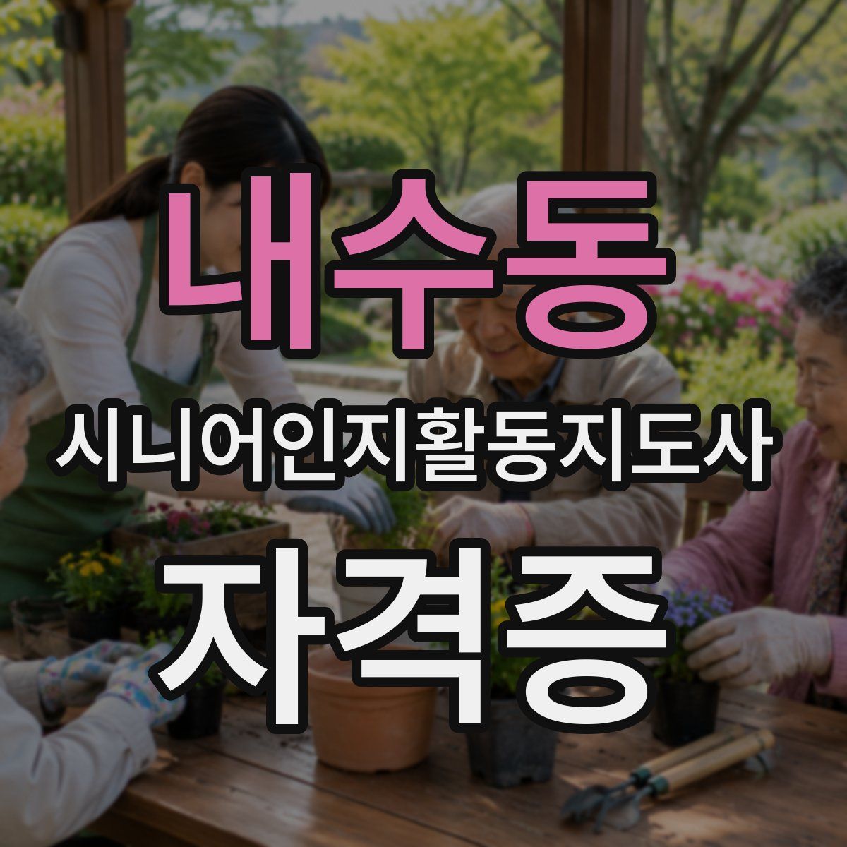 내수동 시니어인지활동지도사 자격증