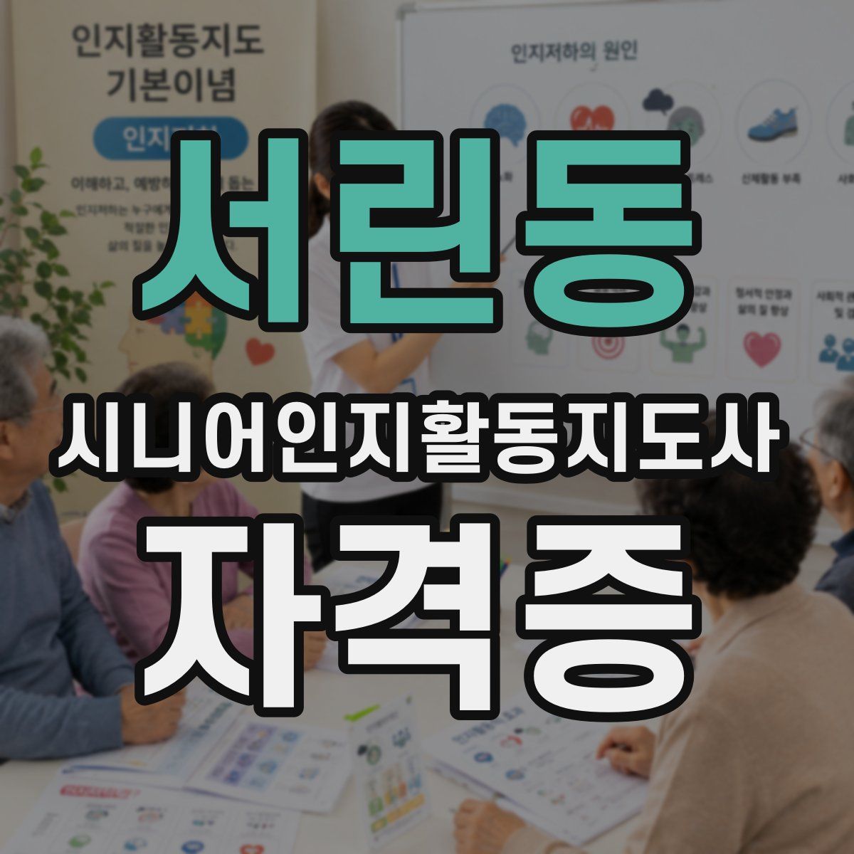 서린동 시니어인지활동지도사 자격증