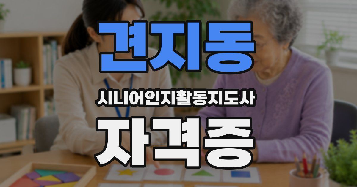 견지동 시니어인지활동지도사 자격증