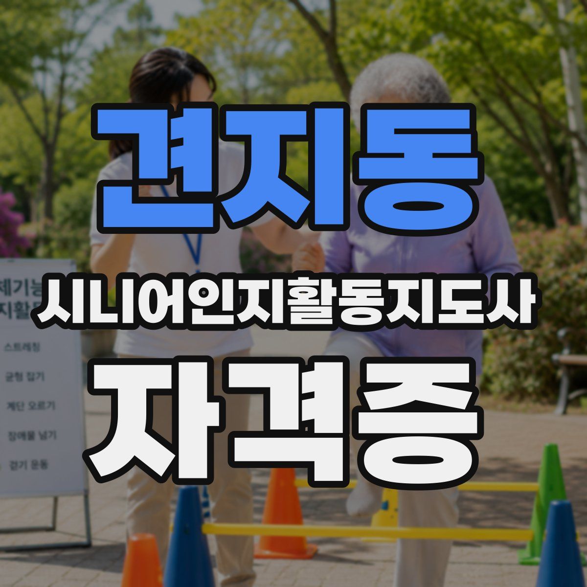 견지동 시니어인지활동지도사 자격증