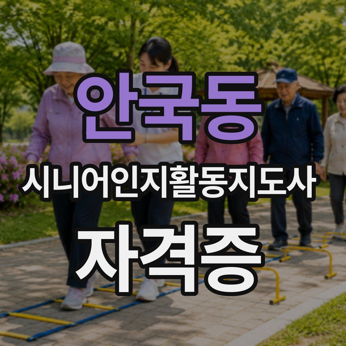 안국동 시니어인지활동지도사 자격증