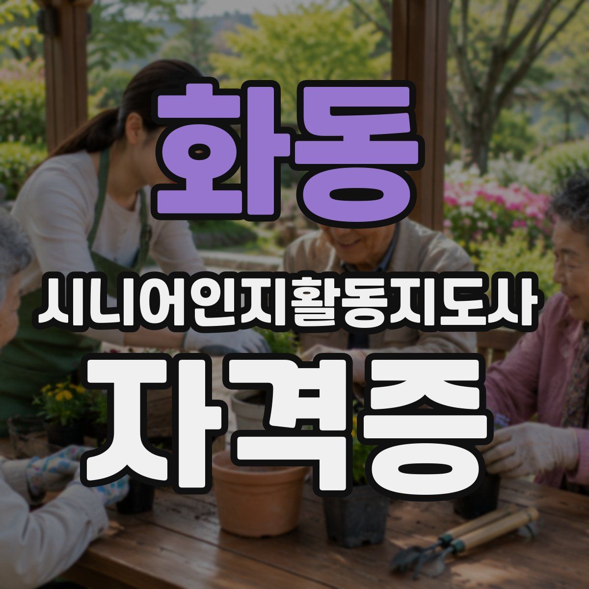 화동 시니어인지활동지도사 자격증