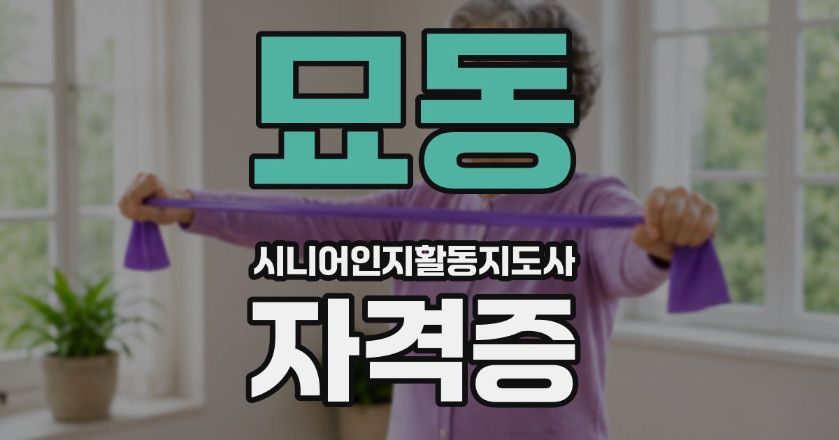 묘동 시니어인지활동지도사 자격증