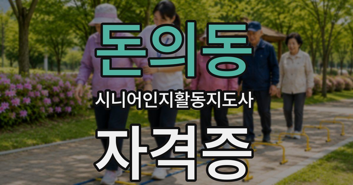 돈의동 시니어인지활동지도사 자격증