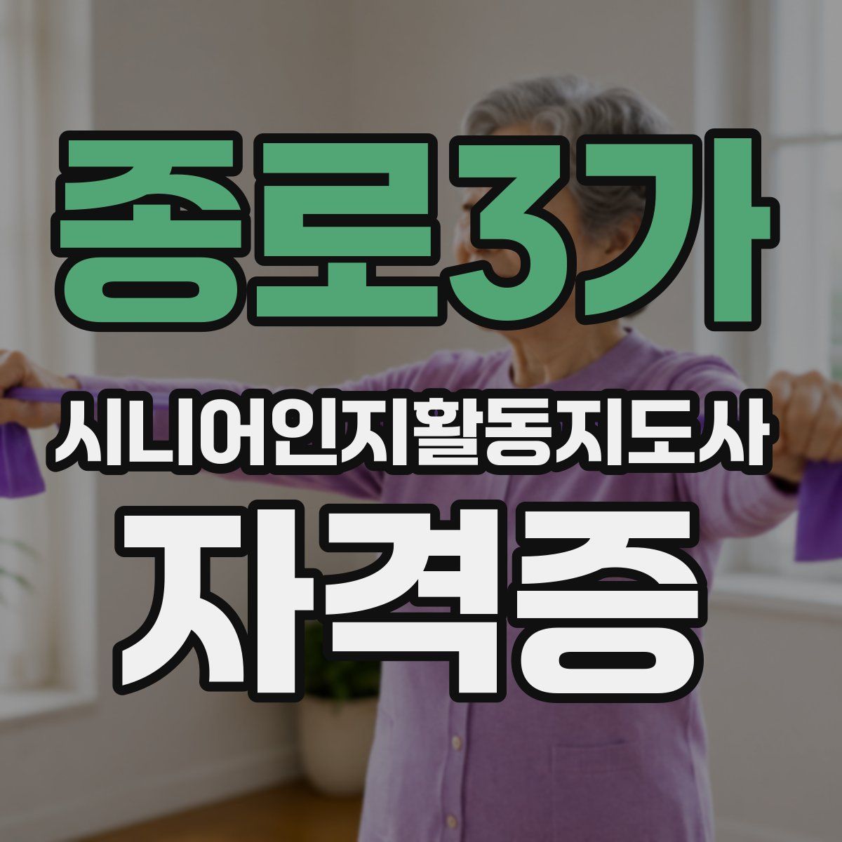 종로3가 시니어인지활동지도사 자격증