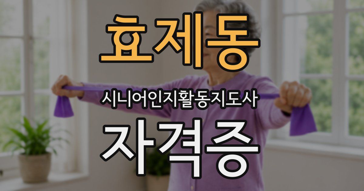 효제동 시니어인지활동지도사 자격증