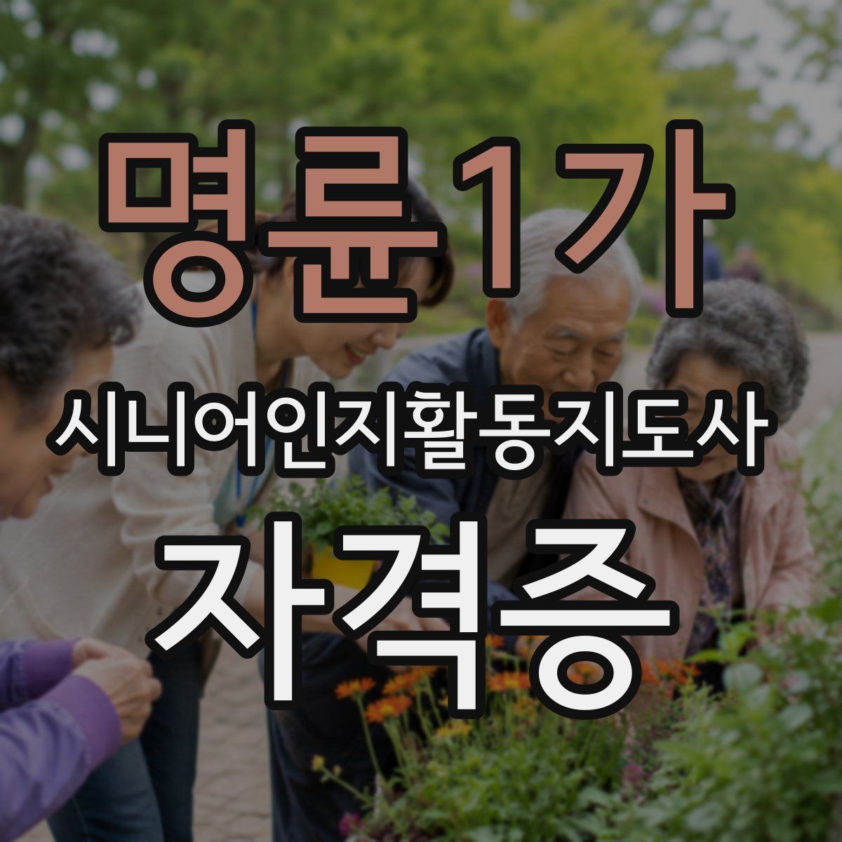 명륜1가 시니어인지활동지도사 자격증