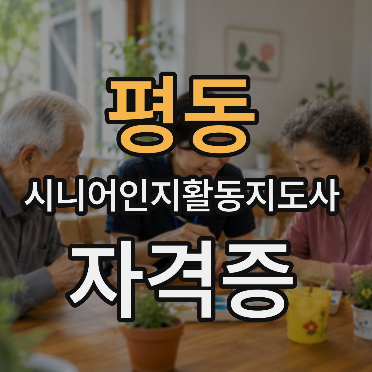 평동 시니어인지활동지도사 자격증