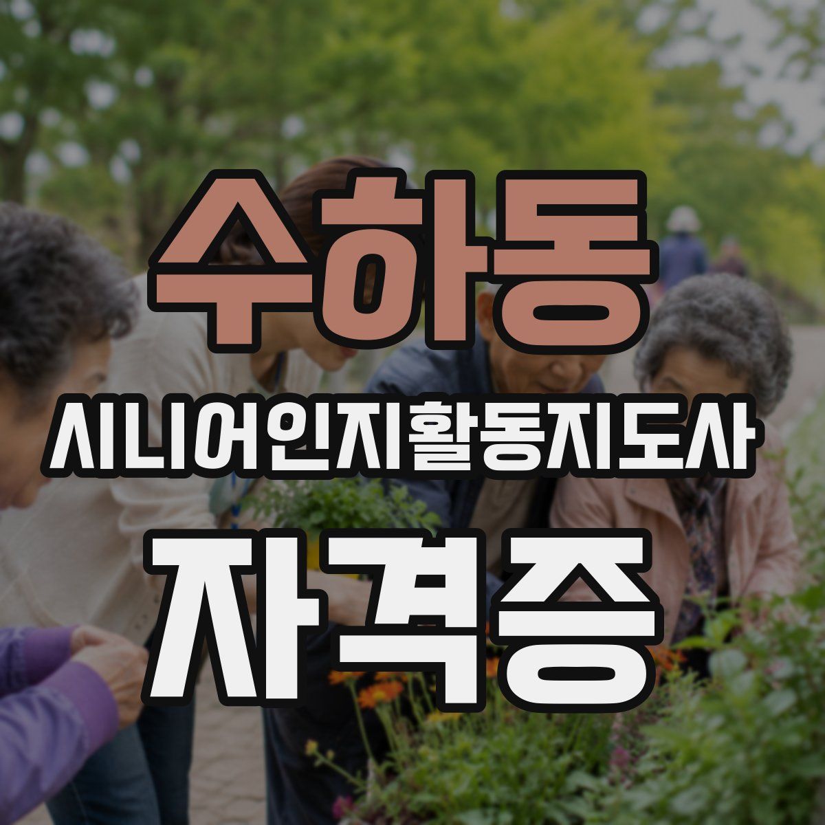 수하동 시니어인지활동지도사 자격증