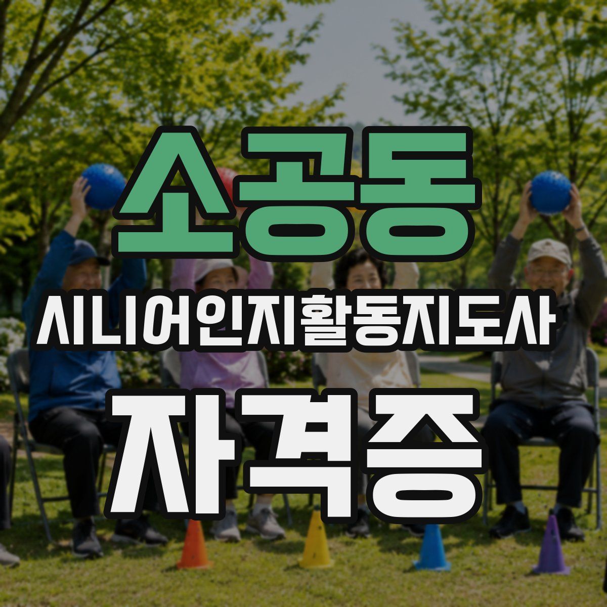 소공동 시니어인지활동지도사 자격증