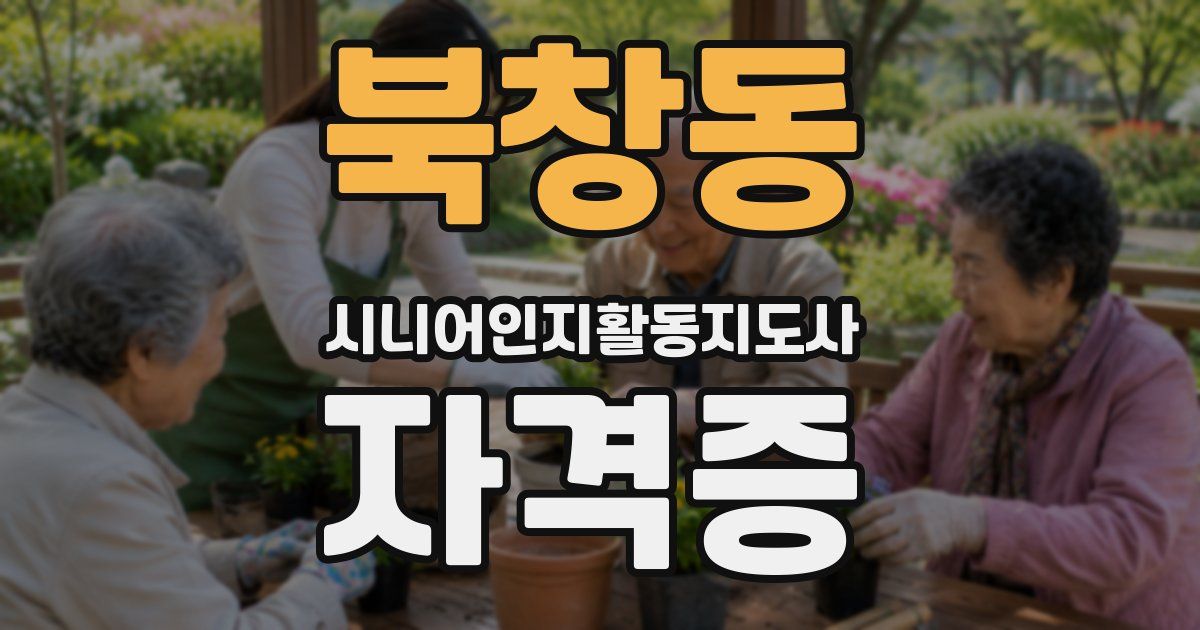 북창동 시니어인지활동지도사 자격증