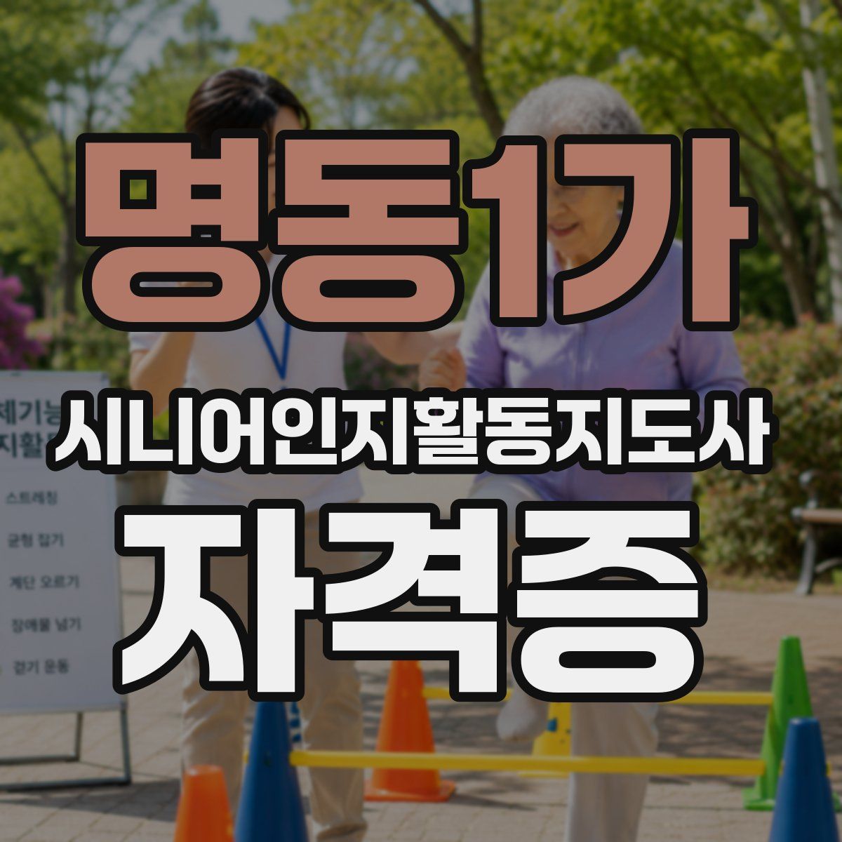 명동1가 시니어인지활동지도사 자격증