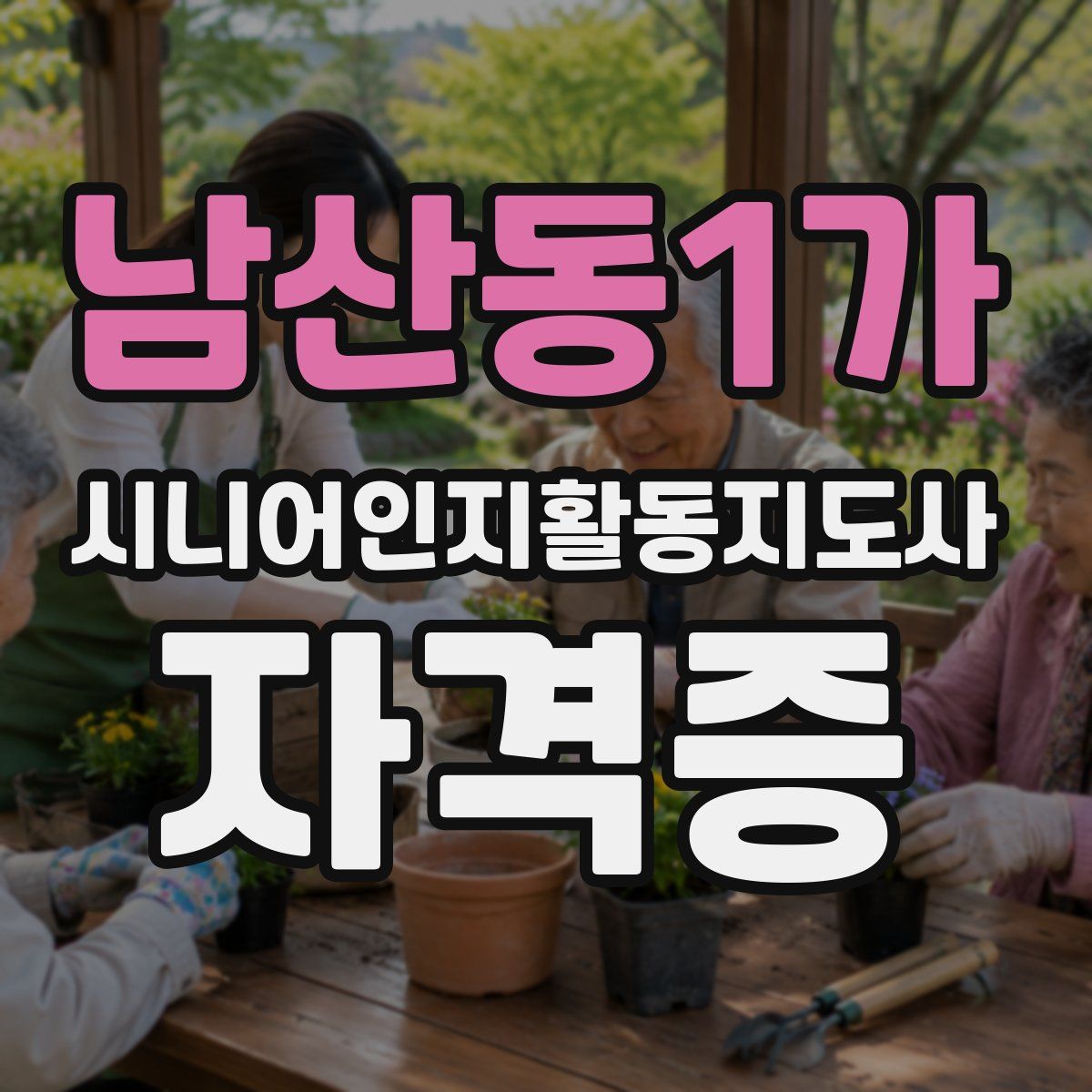 남산동1가 시니어인지활동지도사 자격증