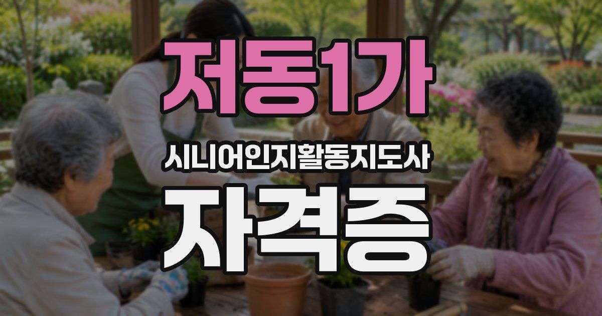 저동1가 시니어인지활동지도사 자격증