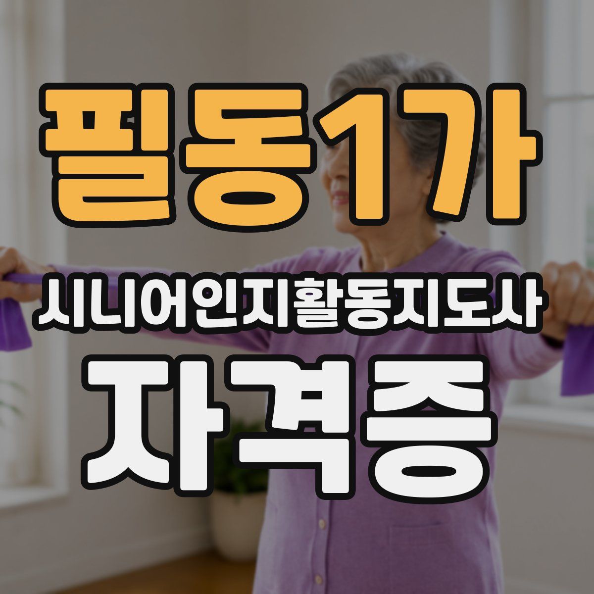 필동1가 시니어인지활동지도사 자격증