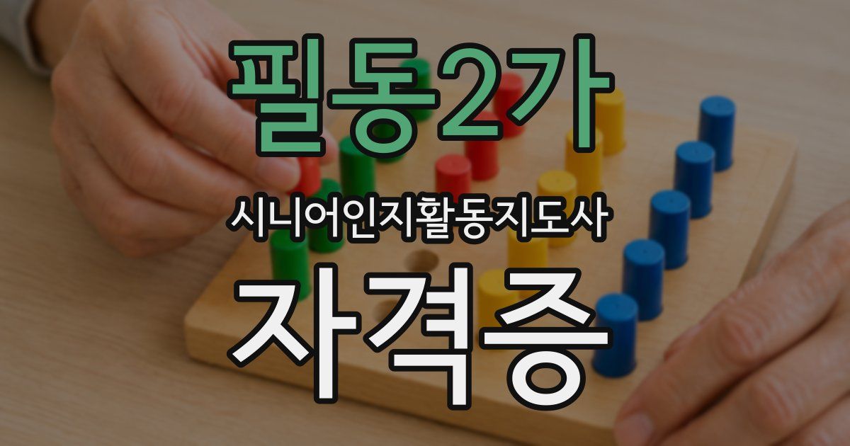 필동2가 시니어인지활동지도사 자격증