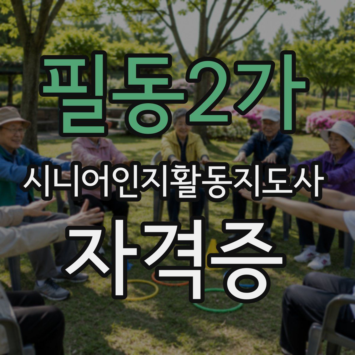 필동2가 시니어인지활동지도사 자격증