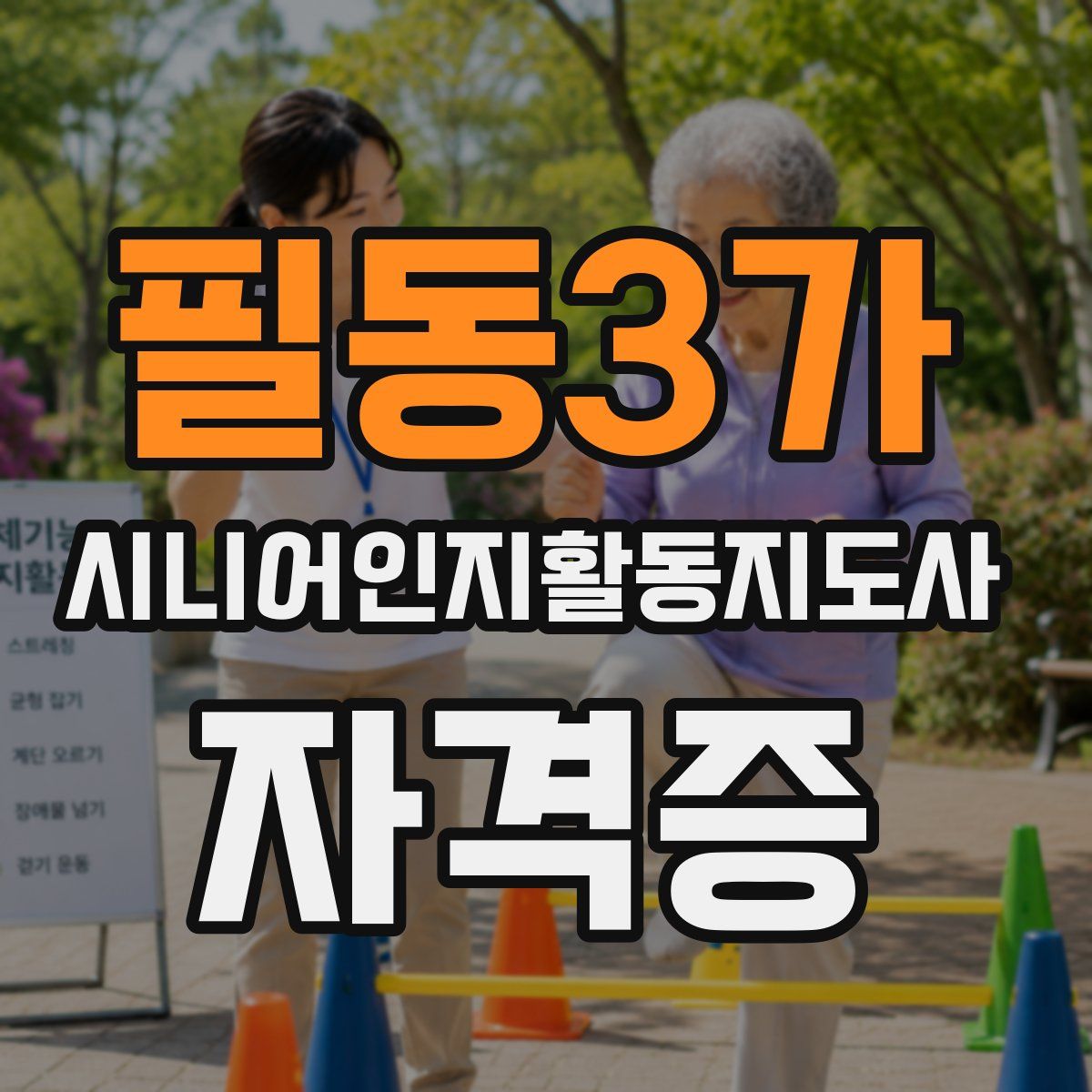 필동3가 시니어인지활동지도사 자격증