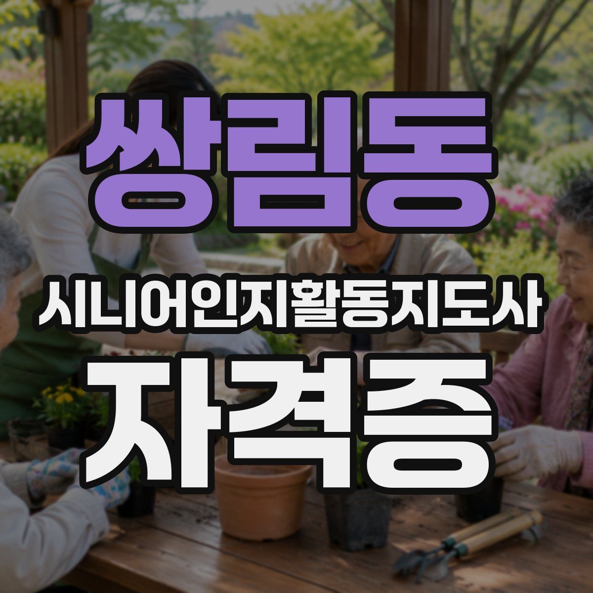 쌍림동 시니어인지활동지도사 자격증