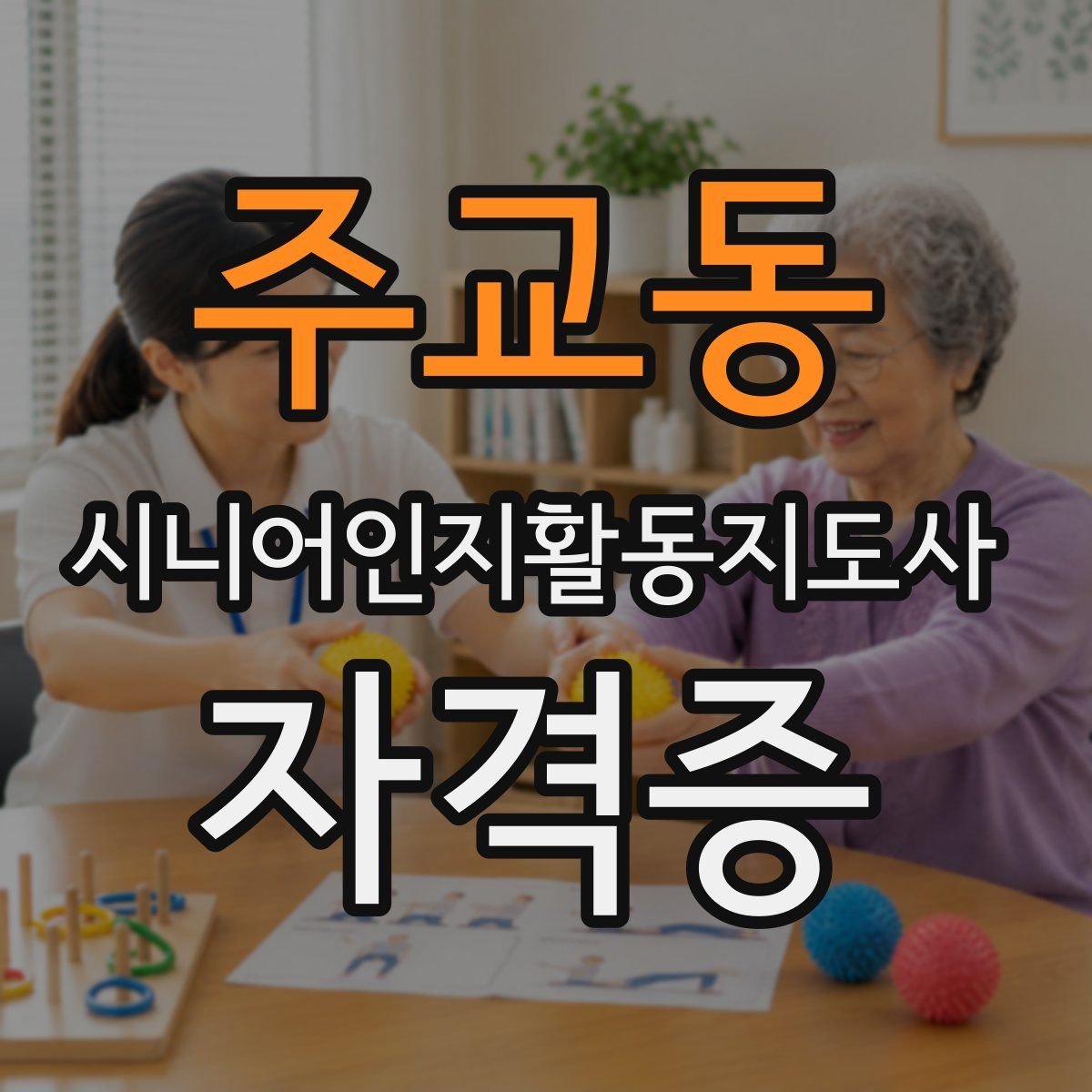 주교동 시니어인지활동지도사 자격증