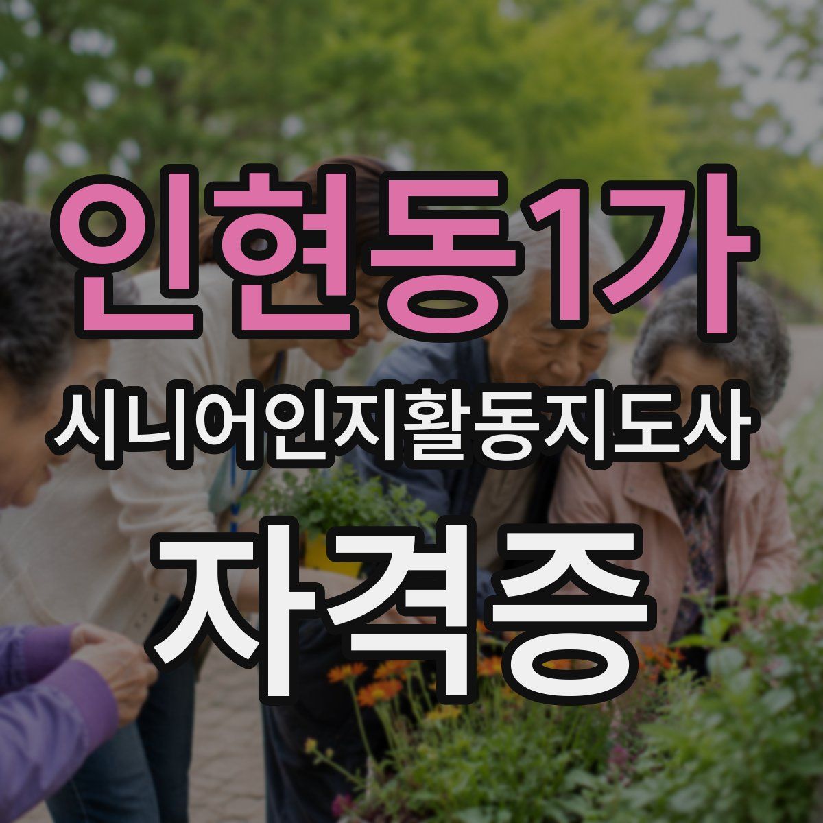 인현동1가 시니어인지활동지도사 자격증