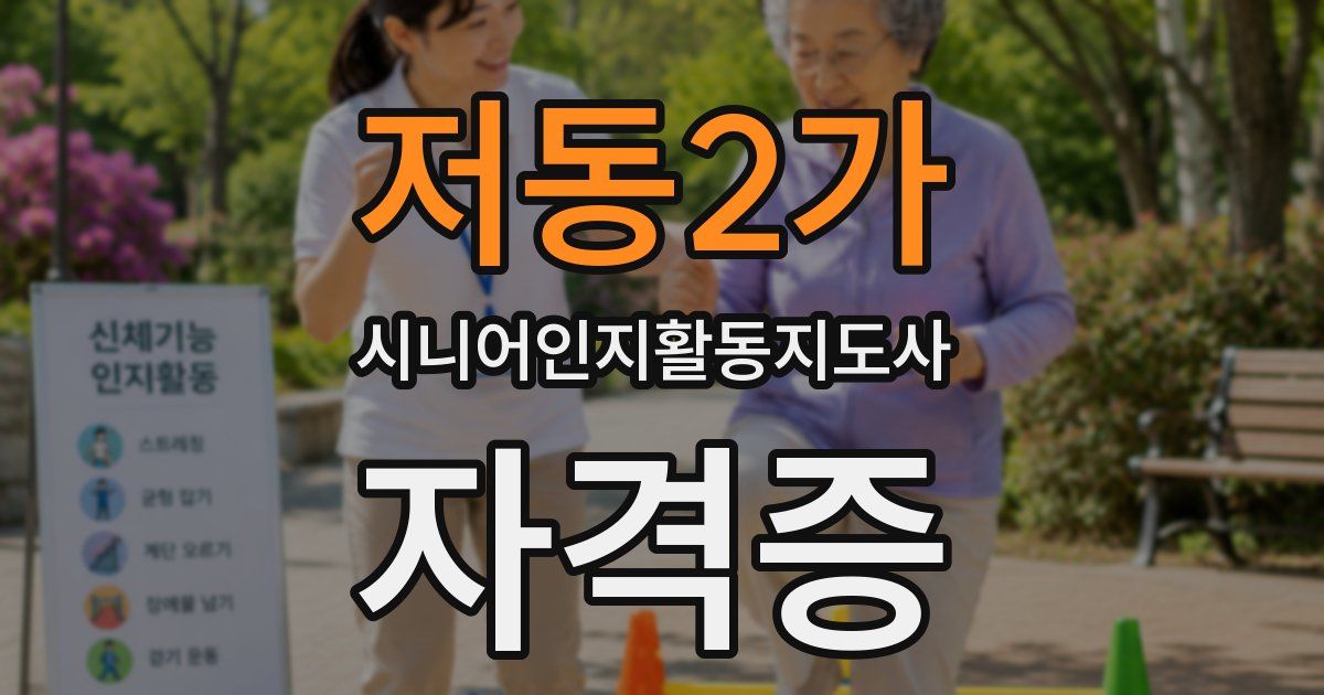 저동2가 시니어인지활동지도사 자격증