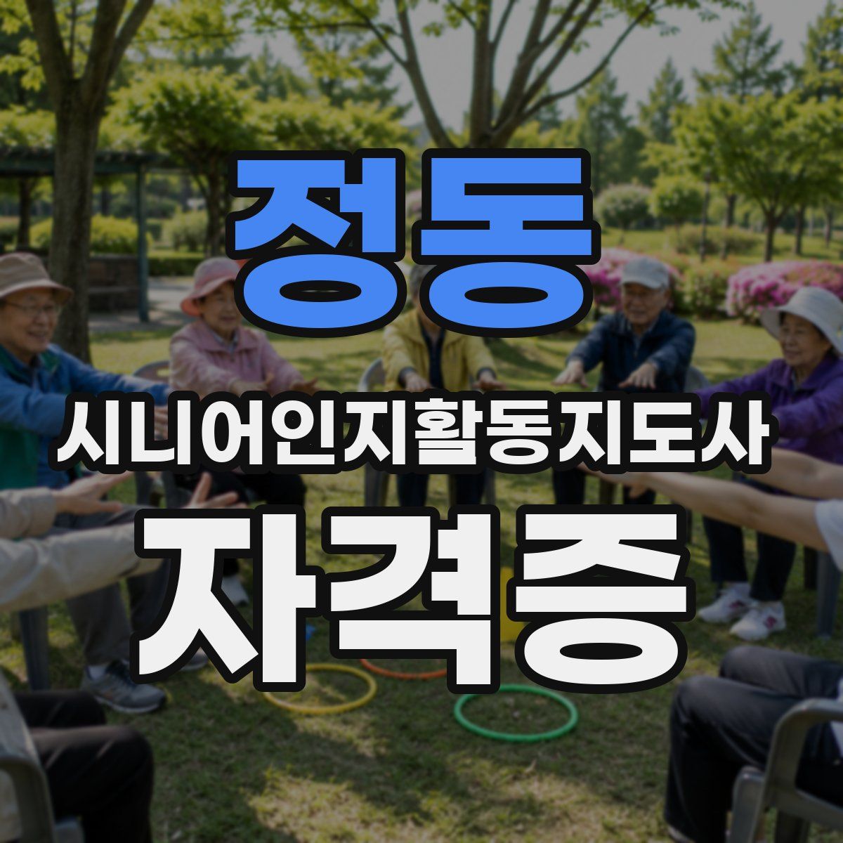 정동 시니어인지활동지도사 자격증