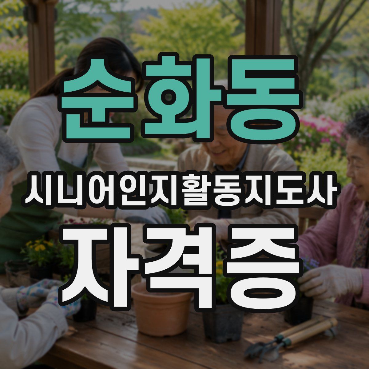 순화동 시니어인지활동지도사 자격증