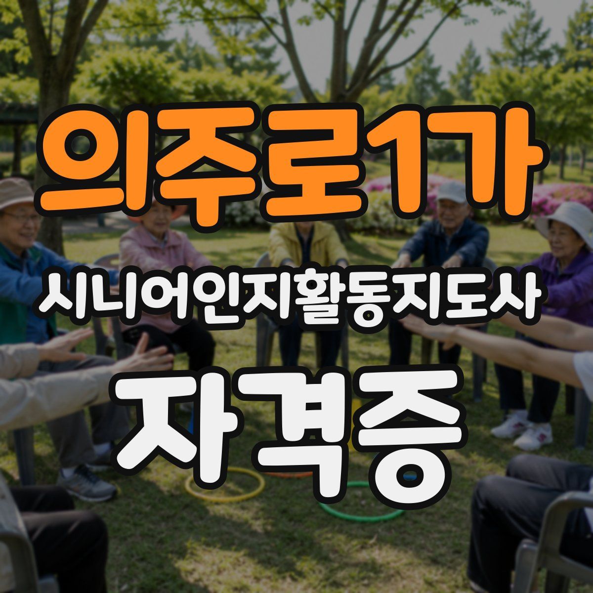의주로1가 시니어인지활동지도사 자격증