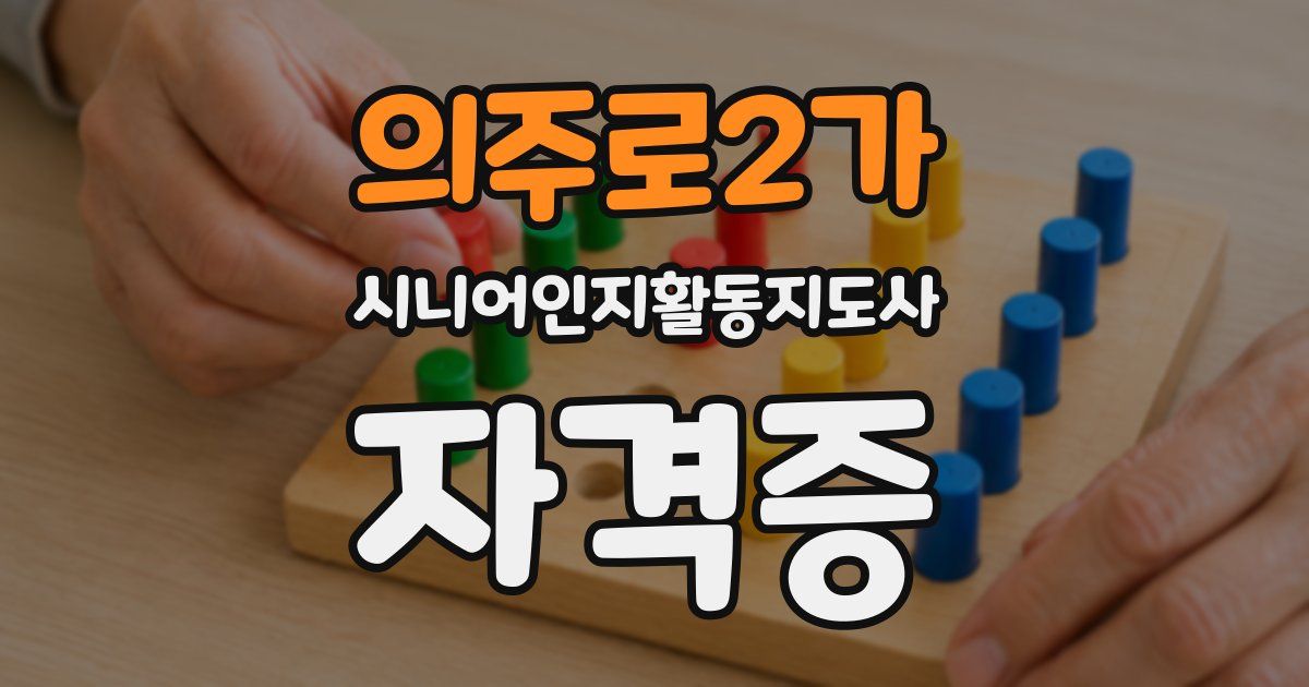 의주로2가 시니어인지활동지도사 자격증
