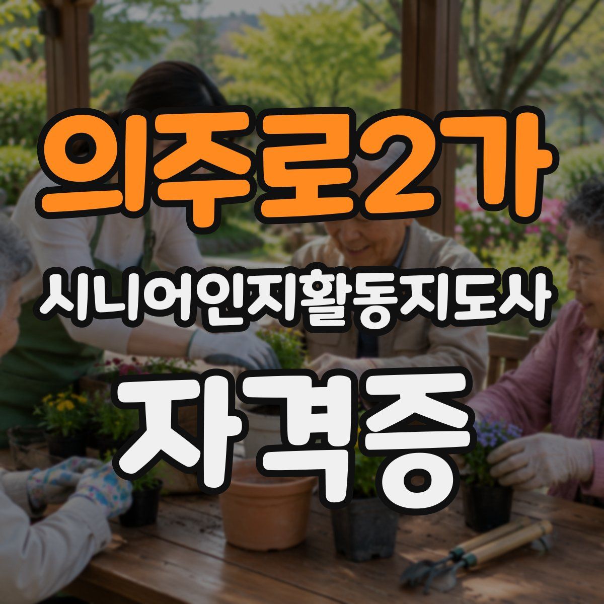 의주로2가 시니어인지활동지도사 자격증