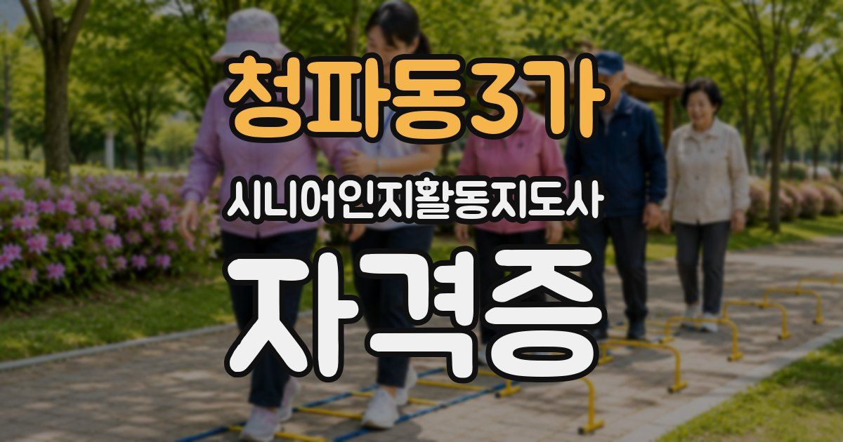 청파동3가 시니어인지활동지도사 자격증