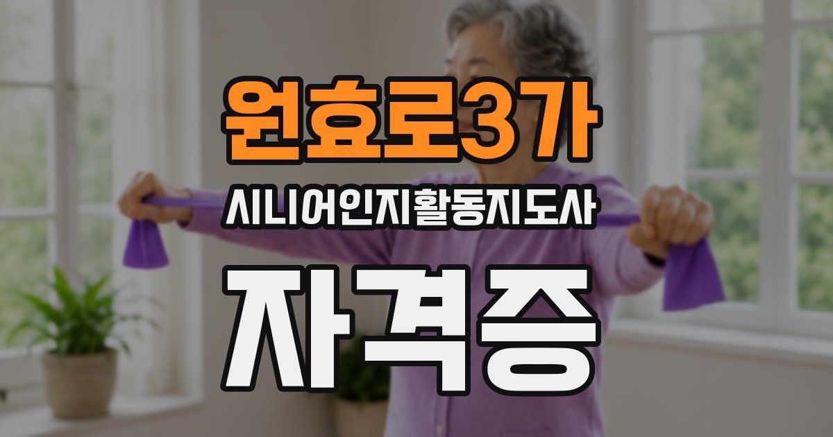 원효로3가 시니어인지활동지도사 자격증