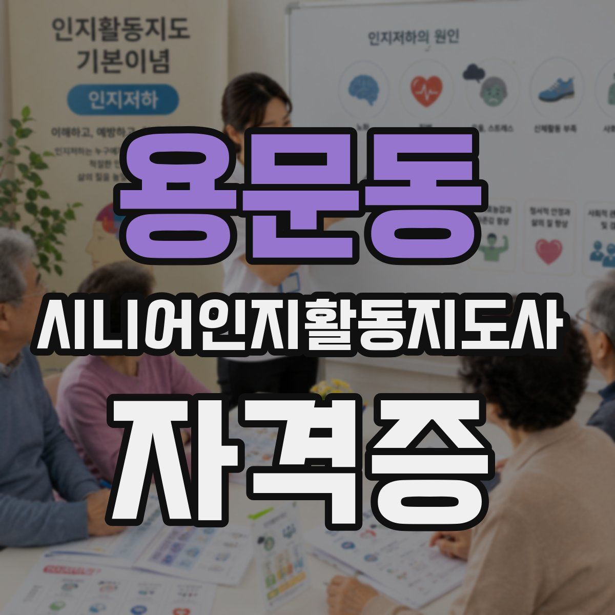 용문동 시니어인지활동지도사 자격증