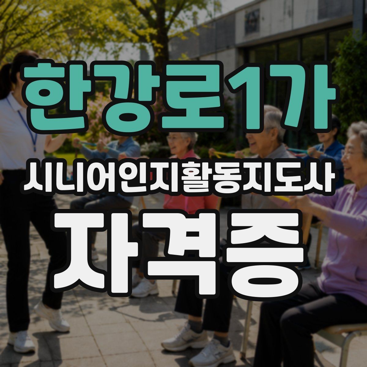 한강로1가 시니어인지활동지도사 자격증 온라인 과정의 장단점