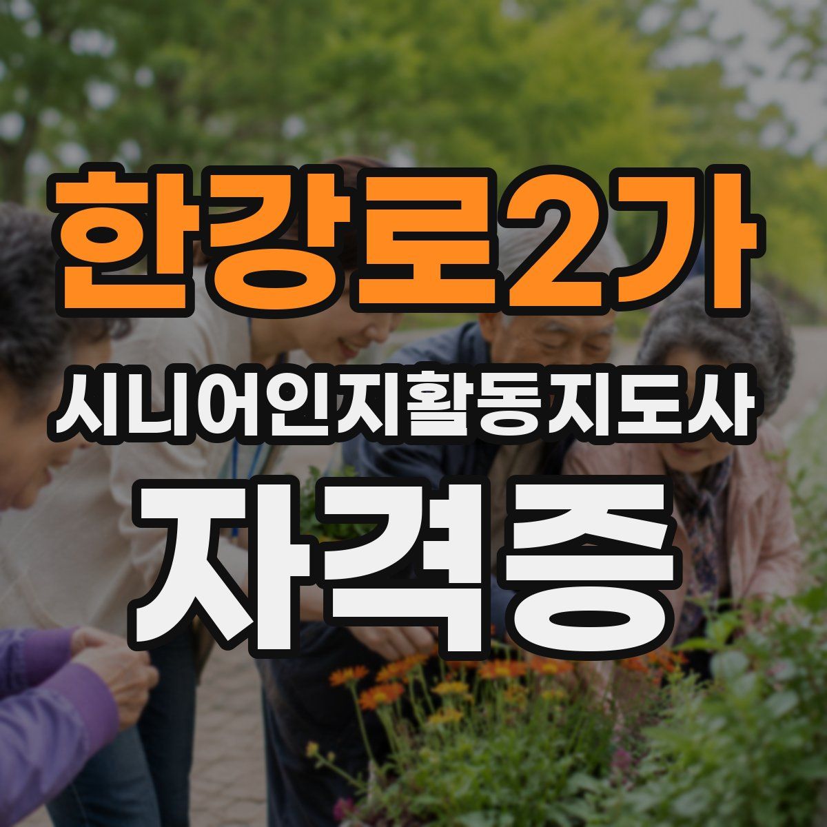 한강로2가 시니어인지활동지도사 자격증