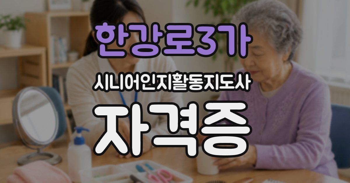 한강로3가 시니어인지활동지도사 자격증