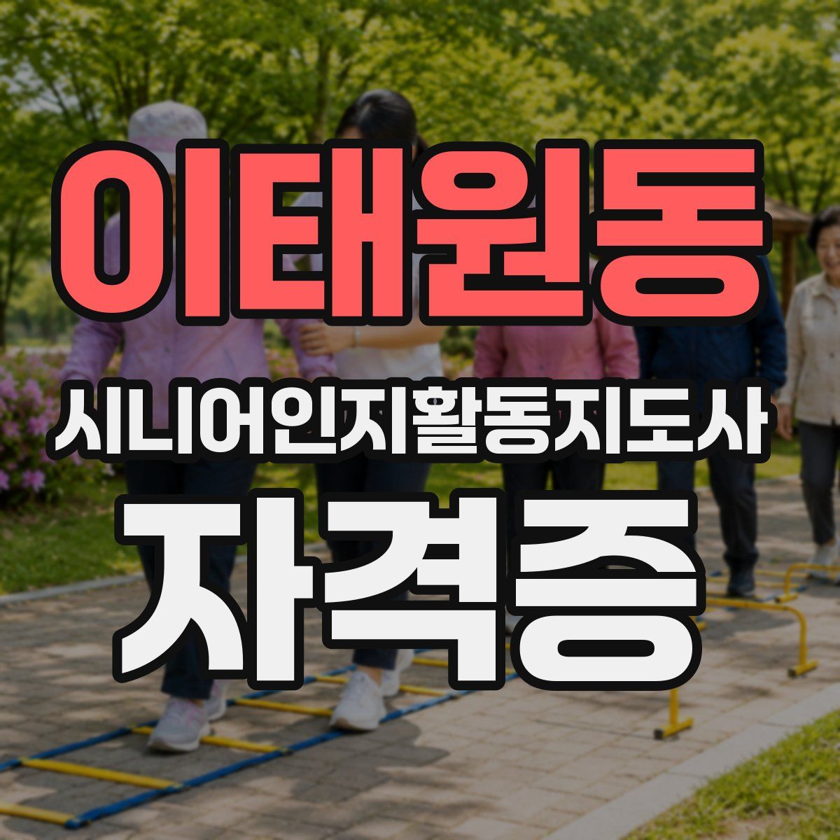 이태원동 시니어인지활동지도사 자격증