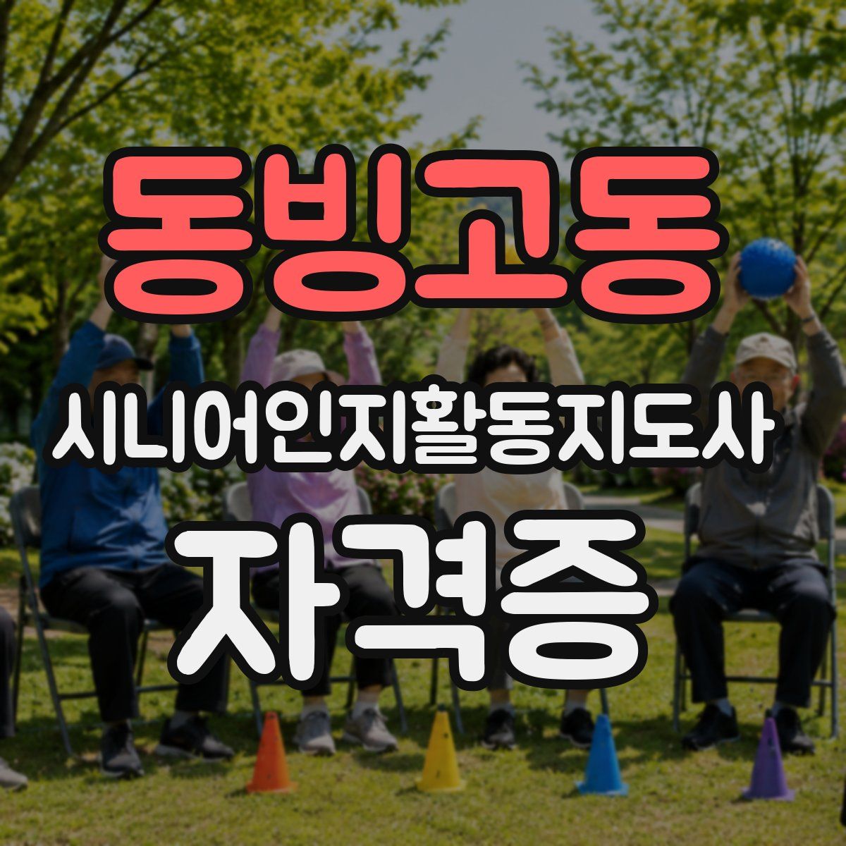 동빙고동 시니어인지활동지도사 자격증