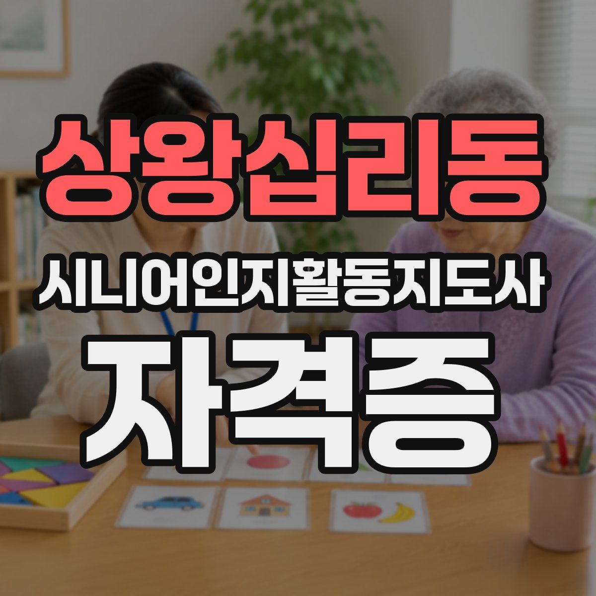상왕십리동 시니어인지활동지도사 자격증