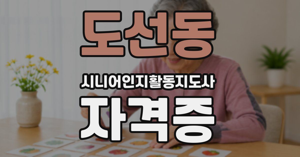 도선동 시니어인지활동지도사 자격증