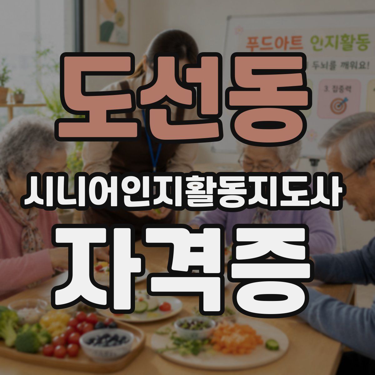 도선동 시니어인지활동지도사 자격증
