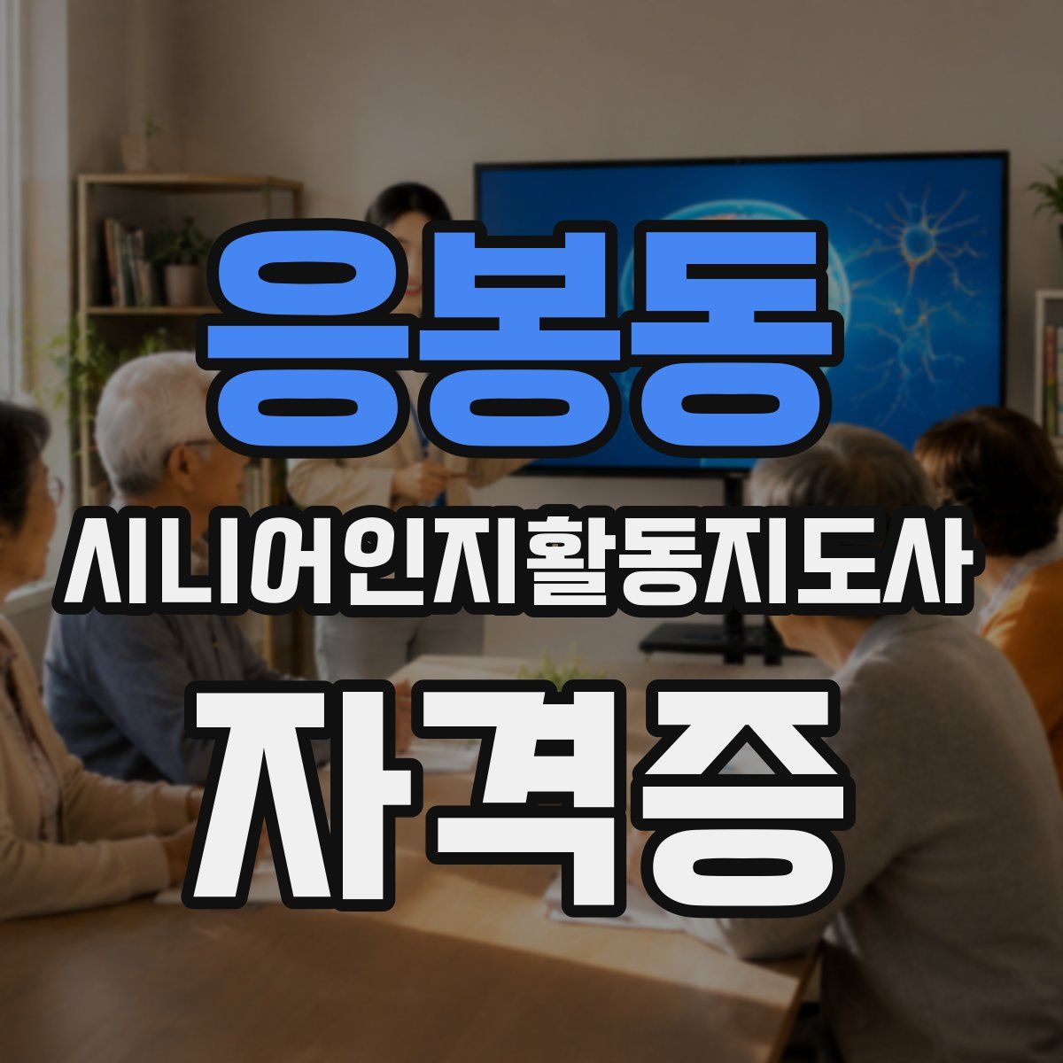 응봉동 시니어인지활동지도사 자격증