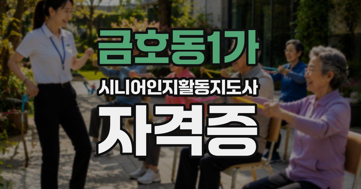 금호동1가 시니어인지활동지도사 자격증
