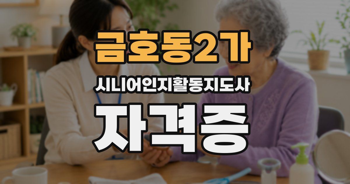 금호동2가 시니어인지활동지도사 자격증